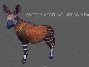 okapi 3D Model