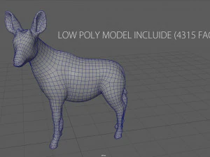 okapi 3D Model