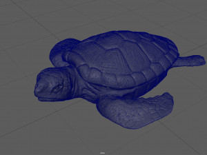 turtle 3D Модель