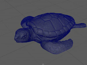 tartaruga Modelo 3D