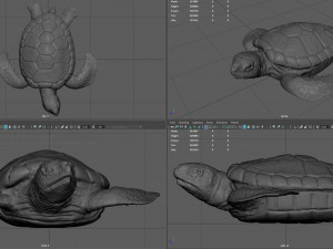 turtle 3D Модель
