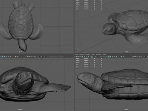 tartaruga Modelo 3D