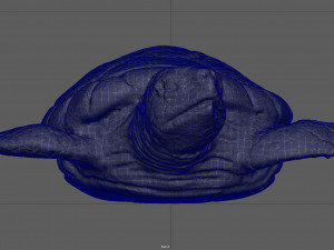 turtle 3D Модель