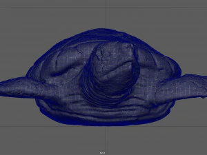 tartaruga Modelo 3D