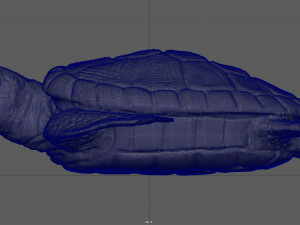 turtle 3D Модель