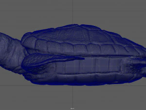 tartaruga Modelo 3D