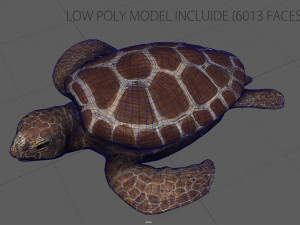 turtle 3D Модель
