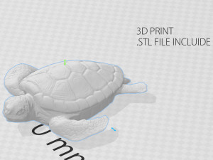 turtle 3D Модель