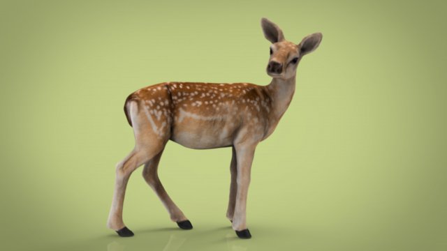 deer 3D मॉडल .c4d .max .obj .3ds .fbx .stl .blend 