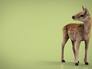 deer 3D मॉडल