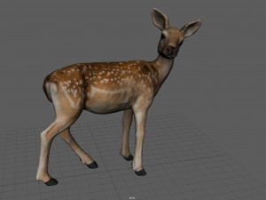 deer 3D मॉडल