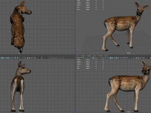 deer 3D मॉडल
