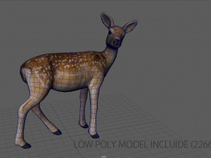 deer 3D मॉडल