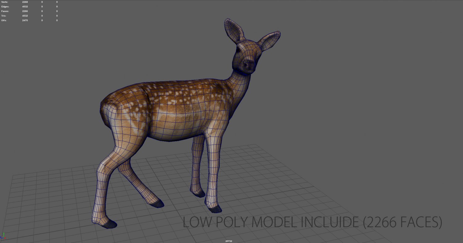 Deer 3d Model In Deer 3dexport