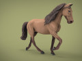 HORSE Modello 3D