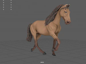 घोड़ा 3D मॉडल