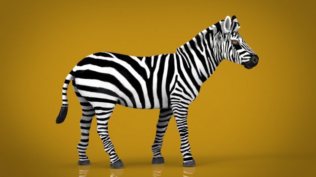 zebra Model 3D .c4d .max .obj .3ds .fbx .stl .blend 