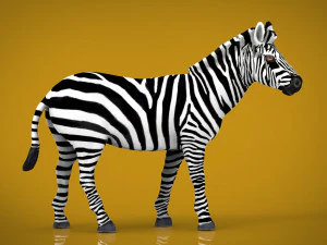 зебра 3D Модель