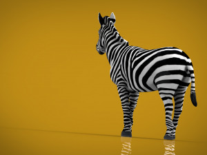 zebra Model 3D