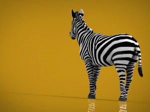 zebra 3D Model