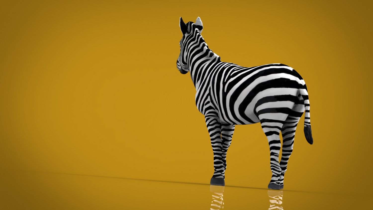 Приложение зебра для сторис. Zebra 3d. зебра №3. зебра 3д модель. зебра тройка.