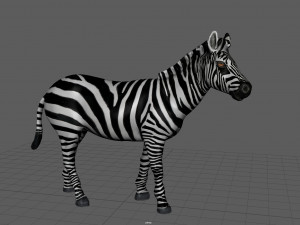 zebra Model 3D