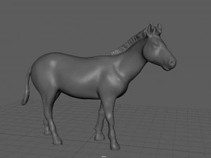 zebra 3D Model