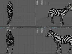 zebra 3D Model