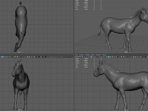 zebra Model 3D