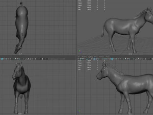zebra 3D Model