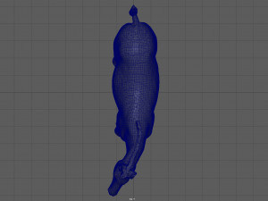 zebra Model 3D