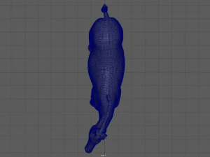 zebra 3D Model
