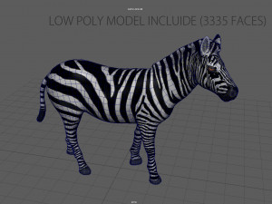 zebra Model 3D