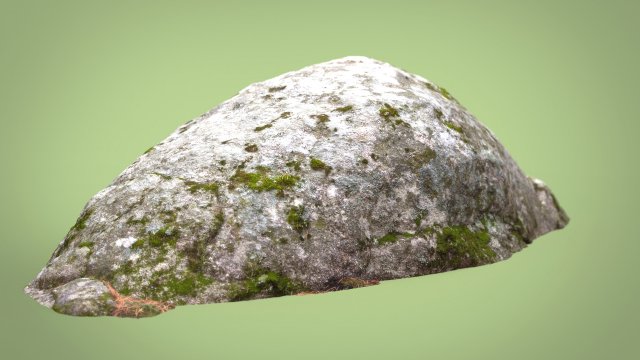 forest rock 3D Model .c4d .max .obj .3ds .fbx .stl .blend 