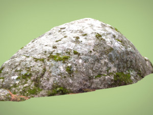 forest rock 3D मॉडल