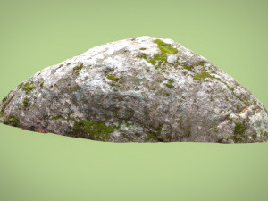 forest rock 3D Model