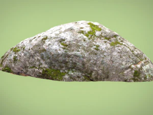 forest rock 3D Model
