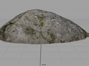 forest rock 3D Model