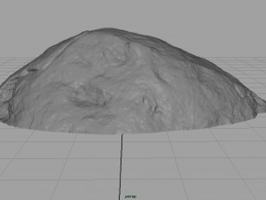 forest rock 3D Model