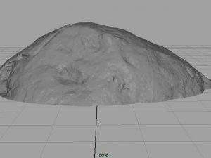 forest rock 3D Model