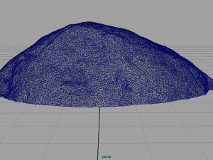 forest rock 3D Model
