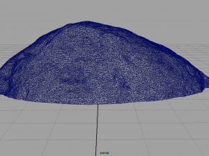 forest rock 3D Model