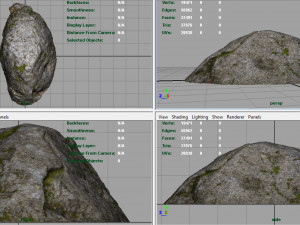 forest rock 3D Model