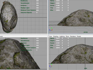 forest rock 3D Model