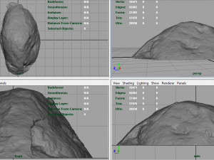 forest rock 3D Model