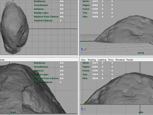 forest rock 3D Model