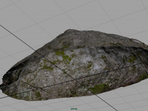 forest rock 3D Model