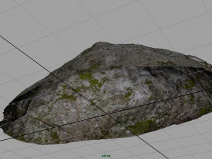 forest rock 3D Model