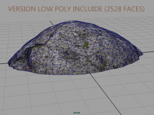forest rock 3D Model