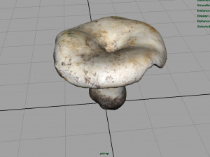 mushroom 3D Model
